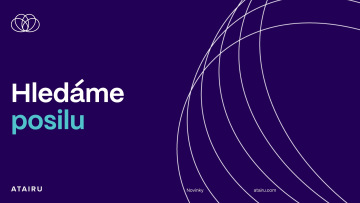 Consultant & Business Development Lead